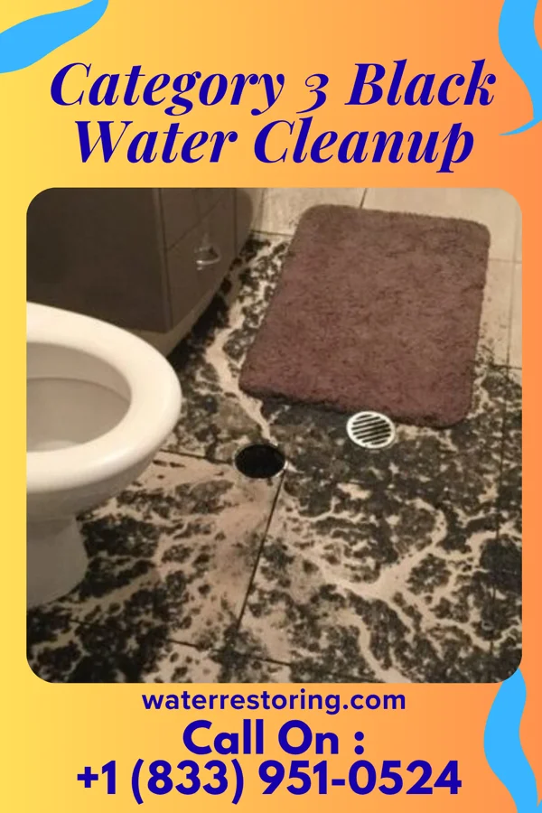 Category 3 Black Water Cleanup in Sharon, PA