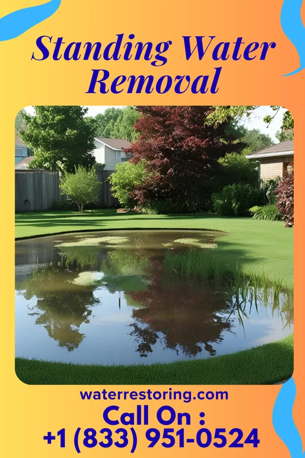 Standing Water Removal in Sharon, PA